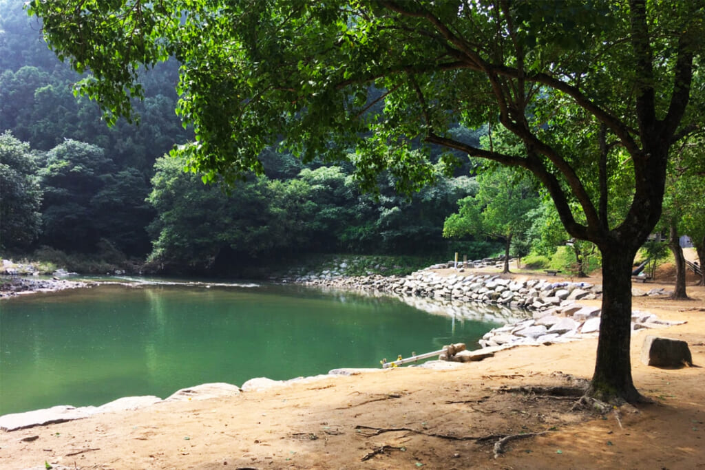 福岡にある源じいの森