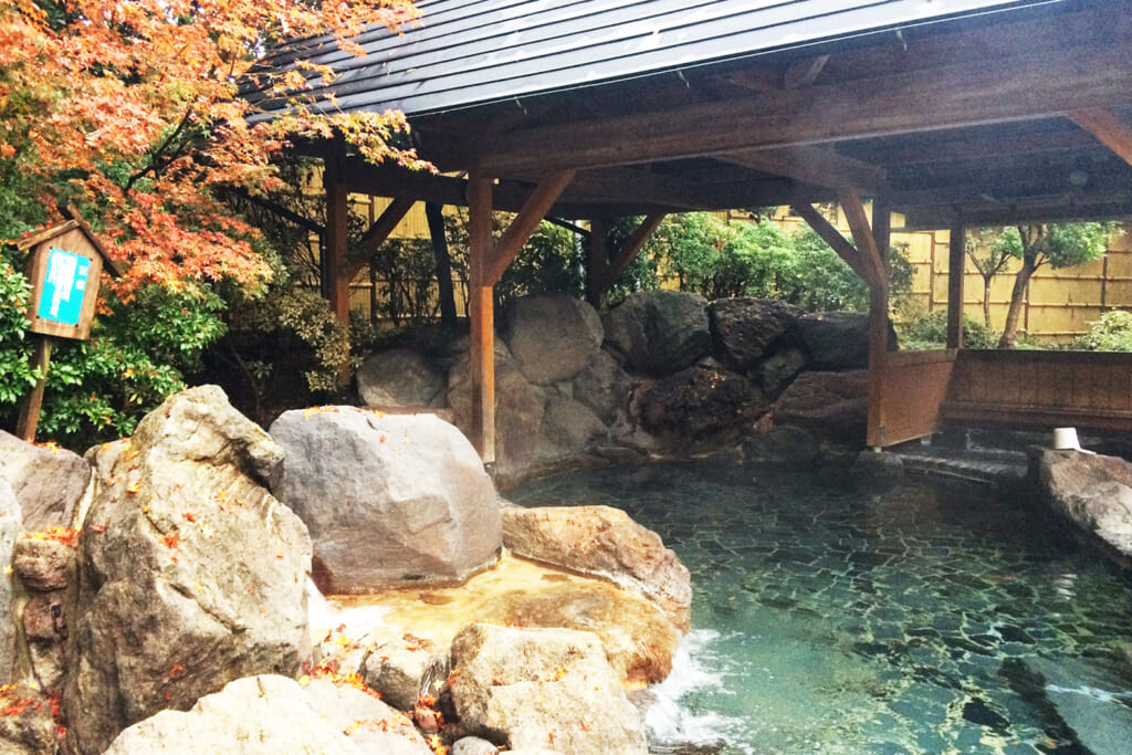 源じいの森温泉の露天風呂