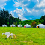 【画像】気分はモンゴルの遊牧民！ にわかに人気の移動式住居「ゲルキャンプ」の魅力に迫る 〜 画像1