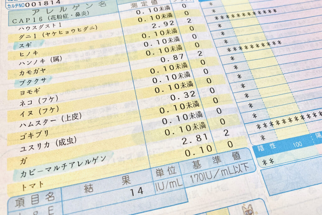 花粉症アレルギーの検査結果