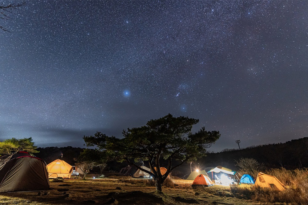 星空が絶景の星降る高原キャンプ場