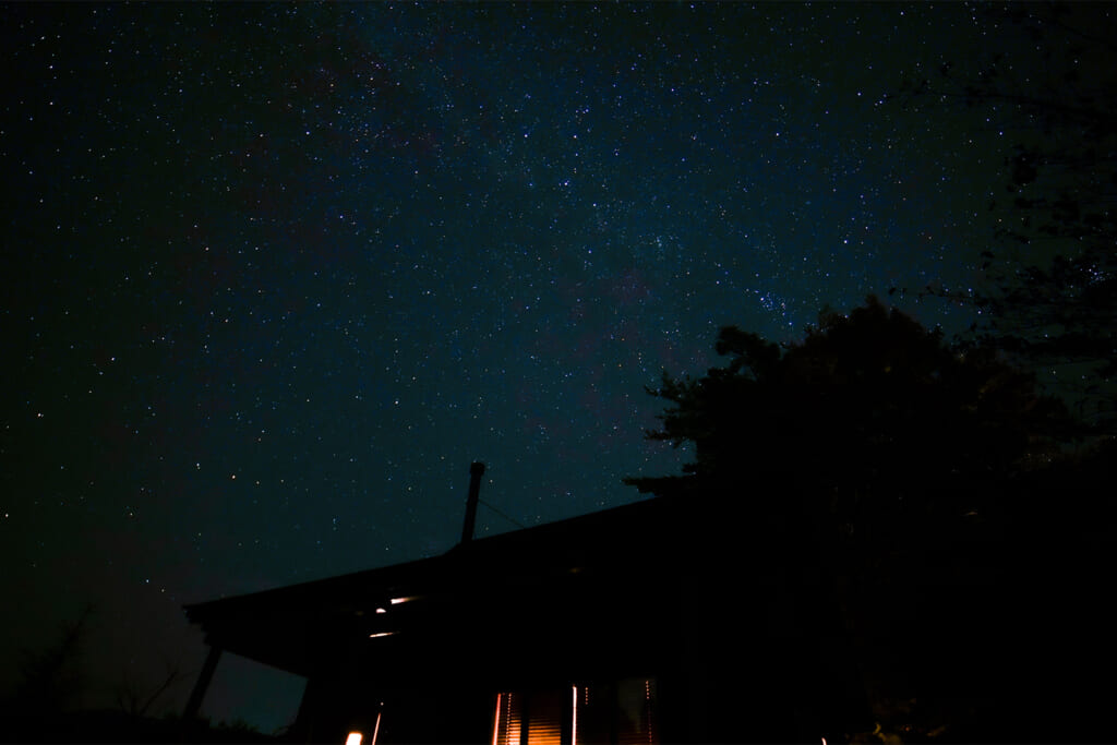 星の降る森の星空