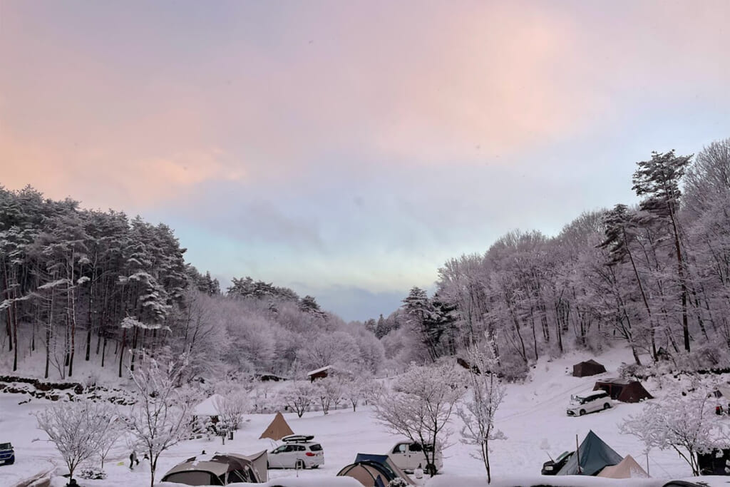 星の降る森の冬景色