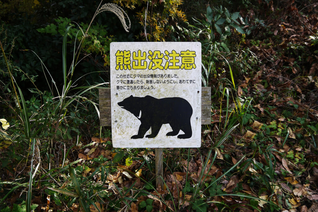 熊出没注意の看板