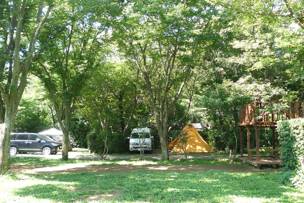 有野実苑オートキャンプ場のキャンプサイト