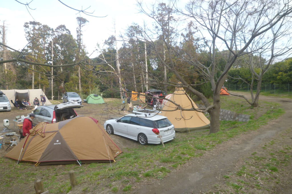 オレンジ村オートキャンプ場の高台にあるキャンプサイト