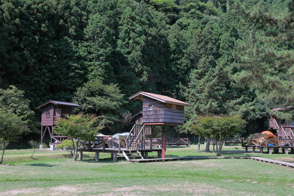 南光自然観察村のツリーハウス