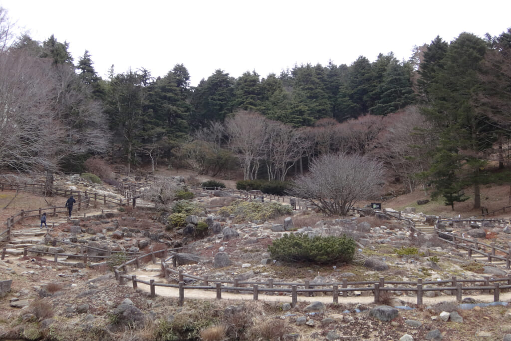 海抜865mの六甲山頂付近に位置する六甲高山植物園