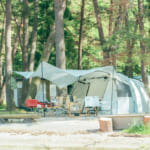キャンプで注意したいテントの盗難対策