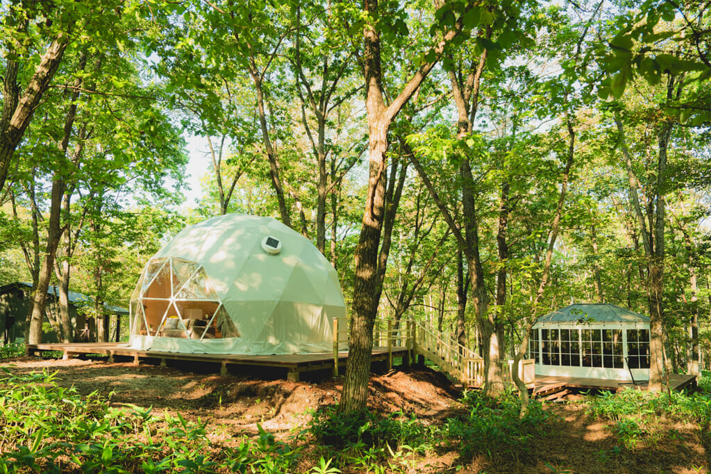 十勝ワッカの森キャンプ場のドームテント