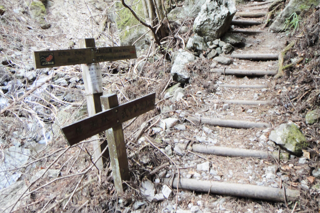 登山道