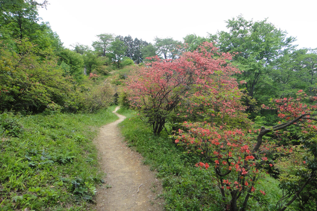 山道