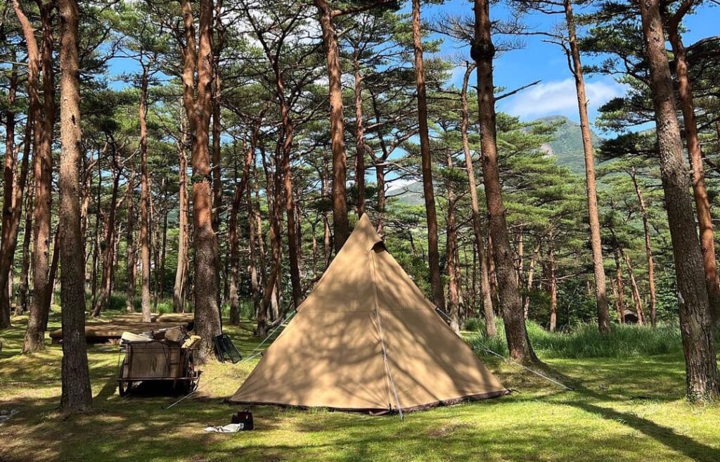 えびの高原キャンプ村のキャンプサイト
