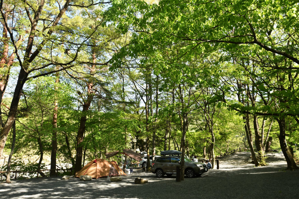Foresters Village Kobitto 南アルプスキャンプフィールドの林間サイト