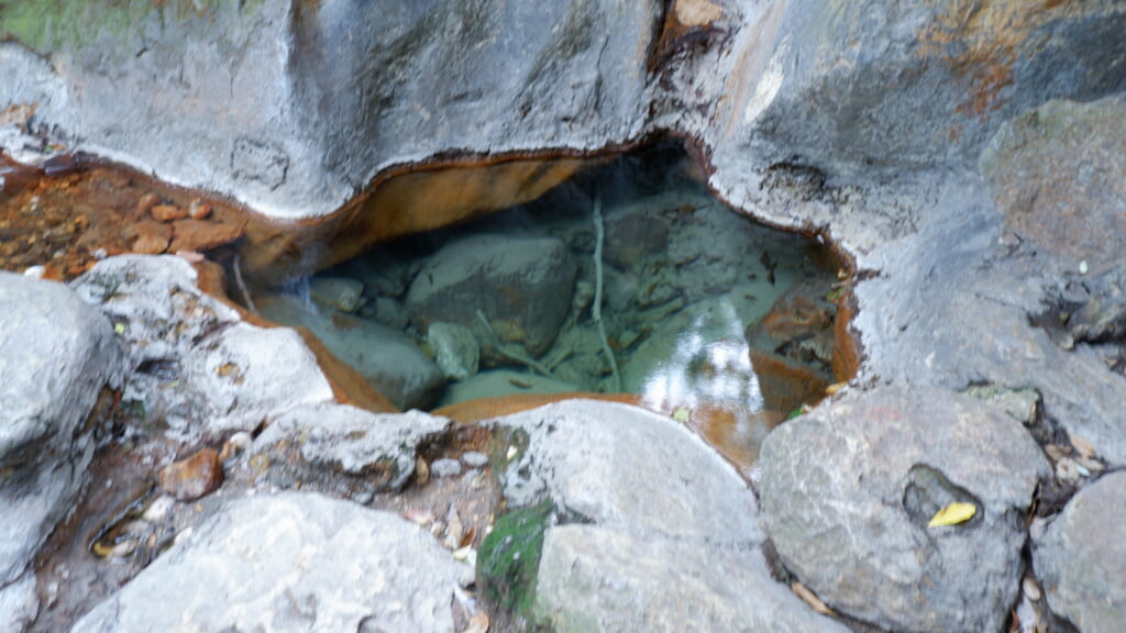 目の湯の野湯