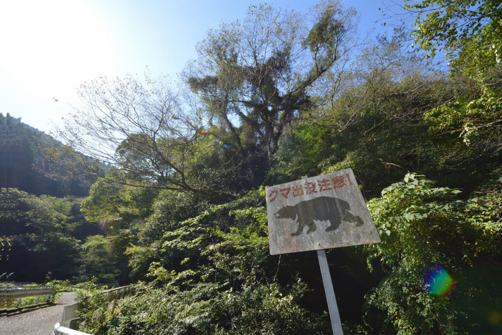 クマの出没を注意喚起する看板