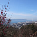 【画像】「春の海　終日のたりのたりかな」与謝蕪村も詠った須磨の浦で春の訪れを感じませんか？ 〜 画像1