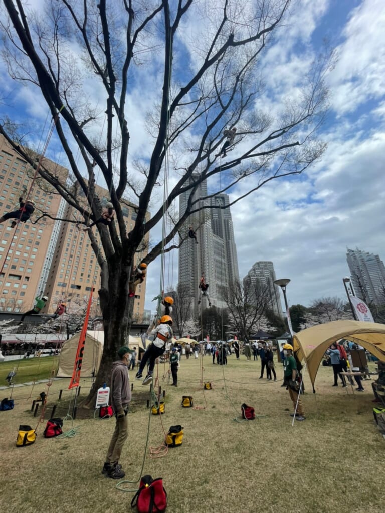 TOKYO outside Festivalのツリークライミング体験