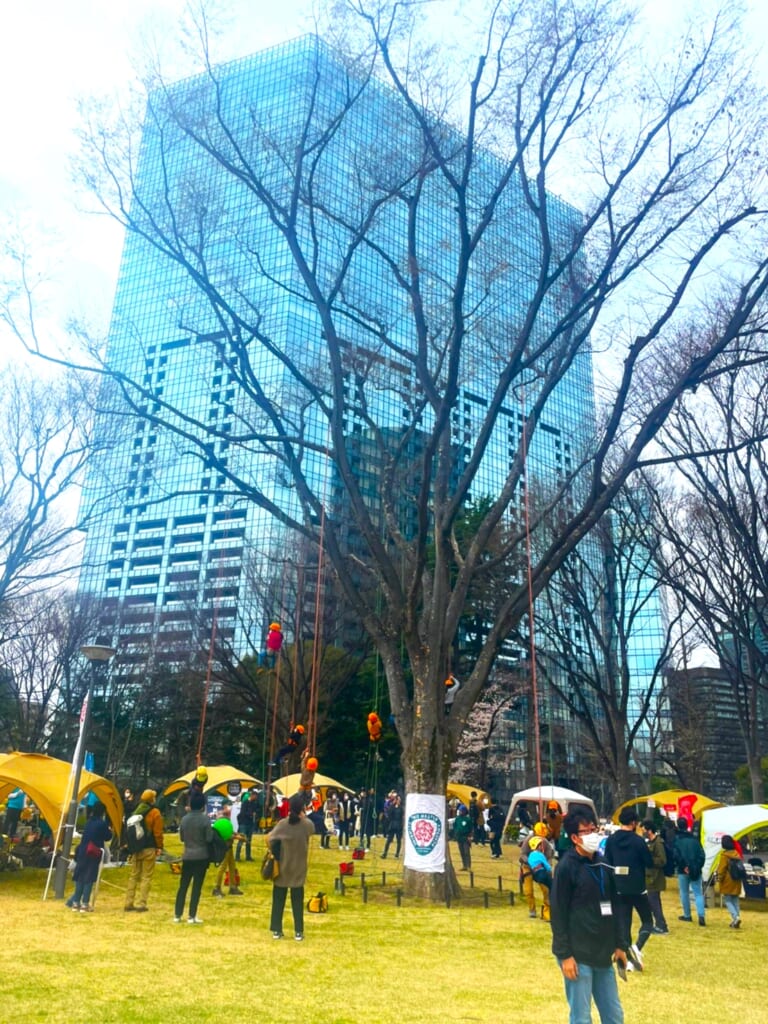 TOKYO outside Festivalのツリークライミング体験