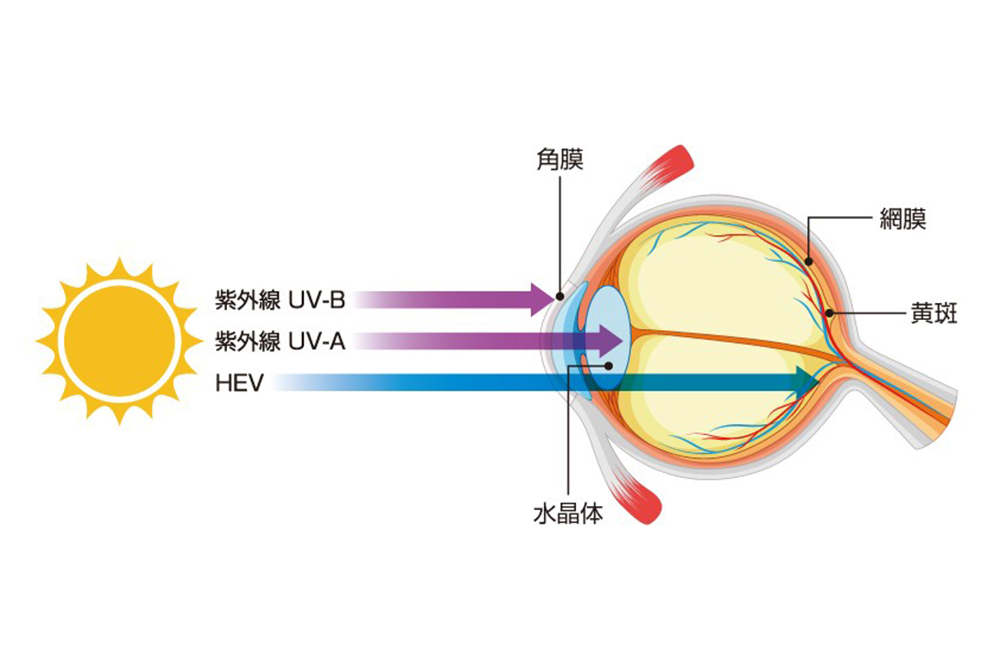 太陽光から放たれる目への有害光線