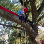 【画像】自然とふれあう空中散歩！「新しい自分と出会う自然体験、ツリークライミング！」【2023年5月27日／7月8日／9月16日／11月3日開催】 〜 画像1