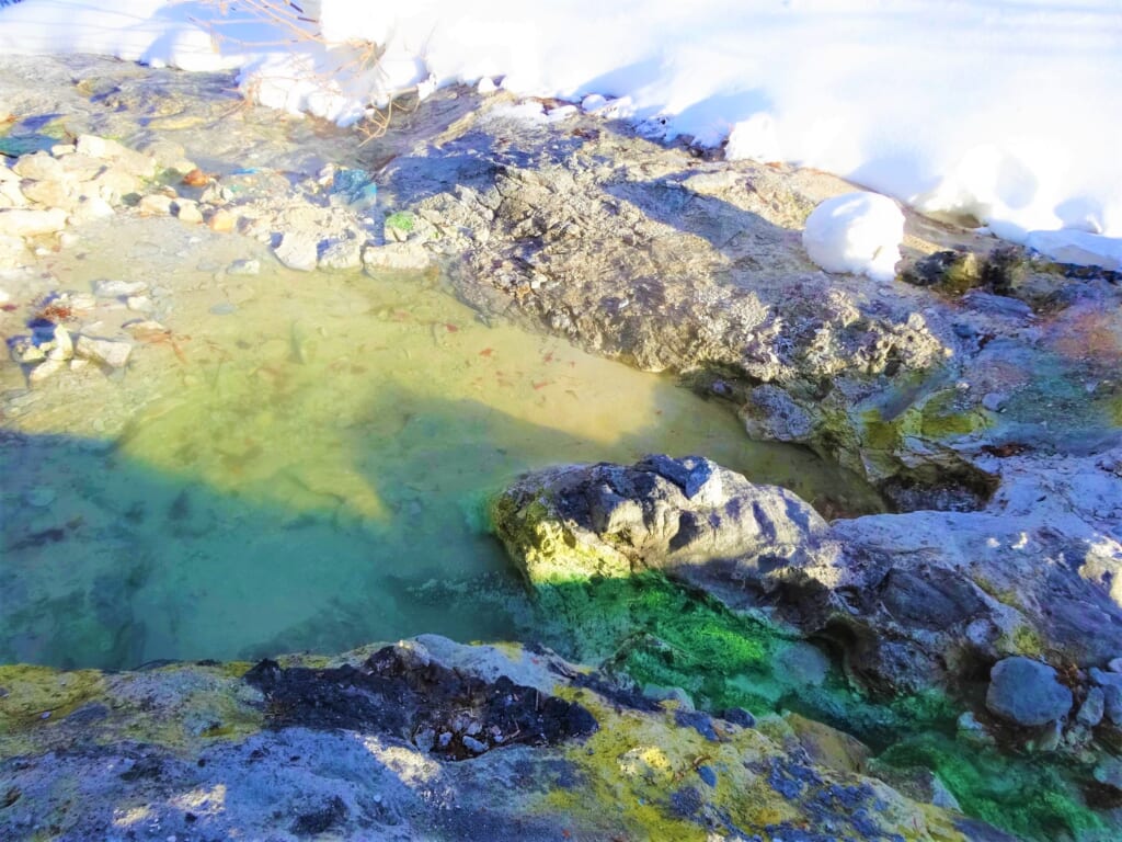 沢に沸く翡翠色の野湯