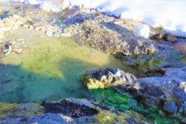 沢に沸く翡翠色の野湯