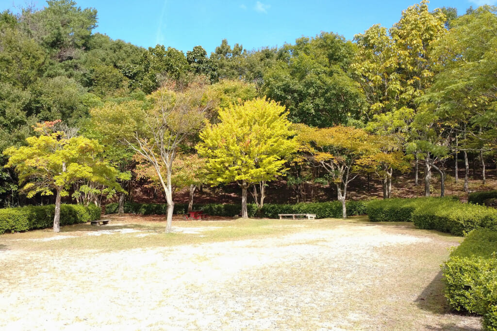 ひろしま遊学の森 広島市森林公園のデイキャンプ場