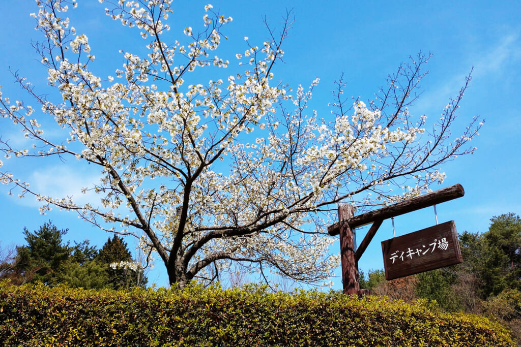 広島市森林公園デイキャンプ場の看板