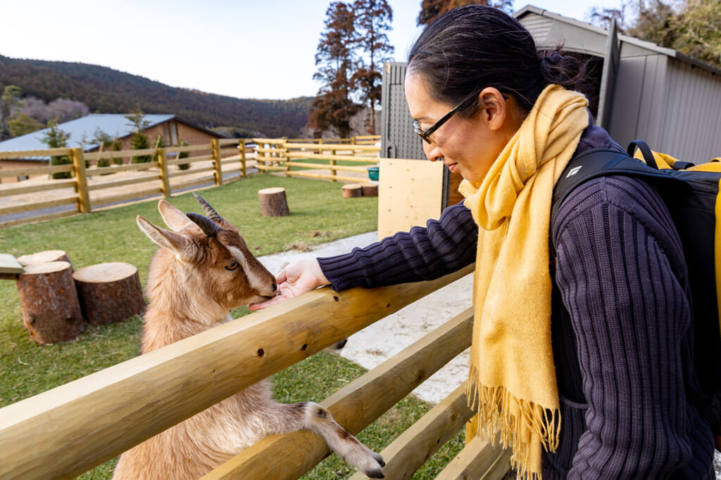 マザー牧場で動物と触れ合い体験