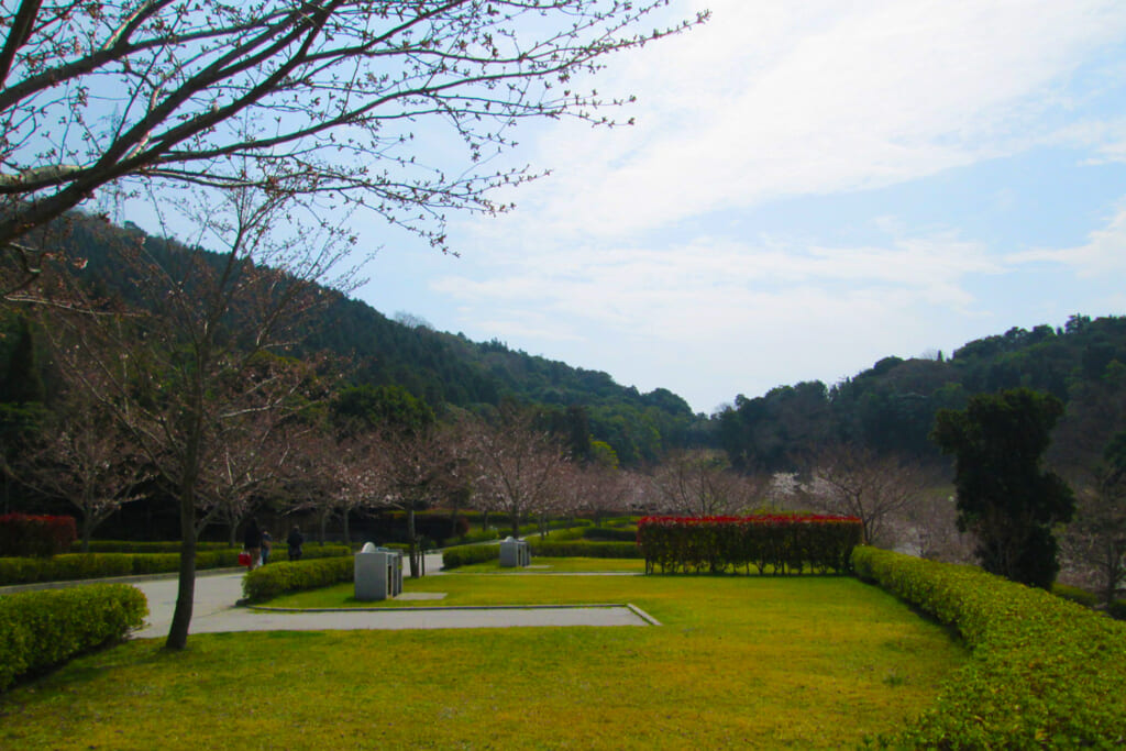 草花が楽しめる冠山総合公園のオートキャンプ場