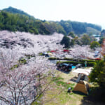 【画像】花を愛でて心が満たされる！  四季折々の草花に囲まれた「この春出かけたい」キャンプ場４選【中国・四国・九州エリア】 〜 画像1