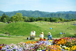 国営讃岐まんのう公園の芝生広場