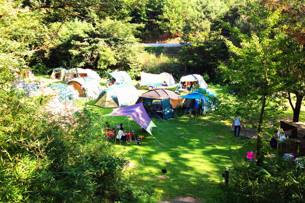 国営讃岐まんのう公園のオートキャンプ場