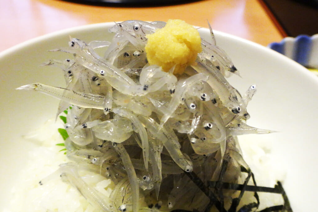 新鮮な生しらす丼