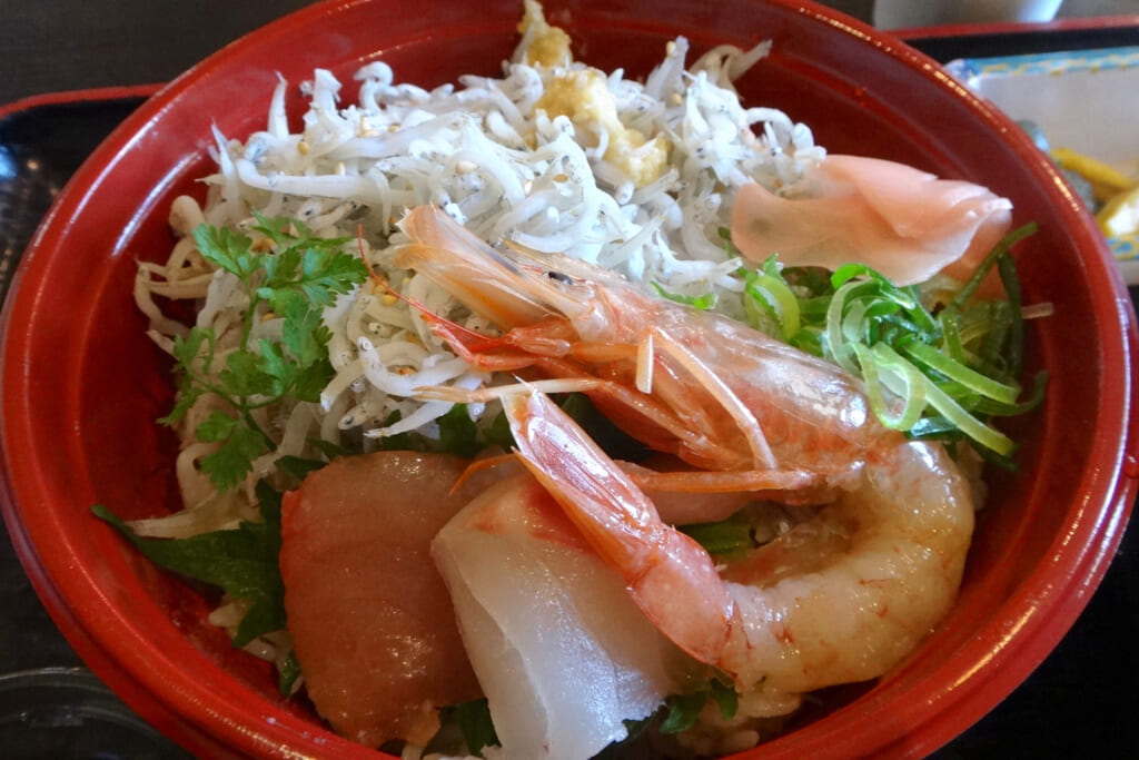 新鮮な魚介類を載せた海鮮丼