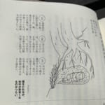 【画像】「衝撃のアウトドア本」発掘レビュー！　STRANGE OUTDOOR BOOK　～vol.1『洞窟おじさん 荒野の43年』～ 〜 画像1