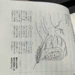 【画像】「衝撃のアウトドア本」発掘レビュー！　STRANGE OUTDOOR BOOK　～vol.1『洞窟おじさん 荒野の43年』～ 〜 画像1