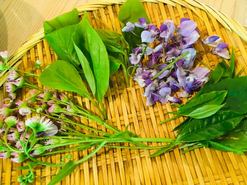 じつは食べられる野草