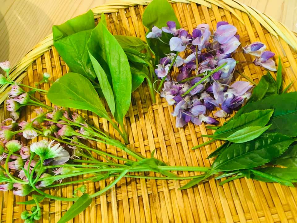 じつは食べられる野草