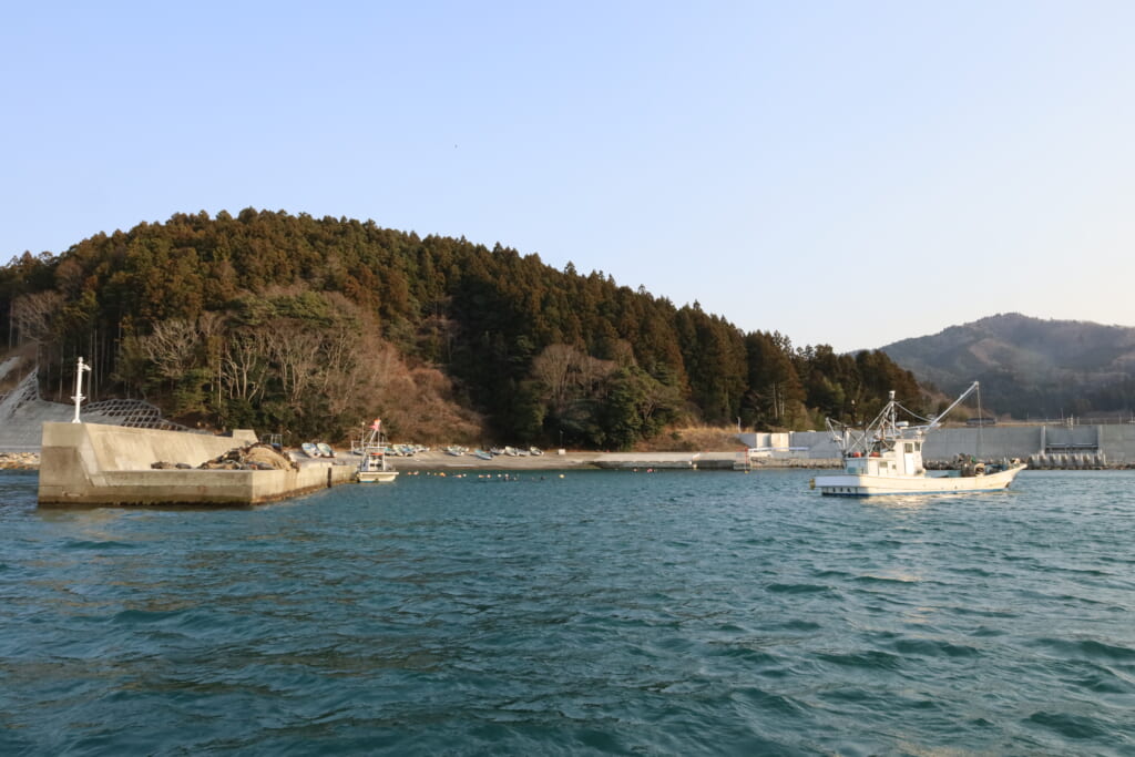 戸倉っ子かきの環境配慮型養殖