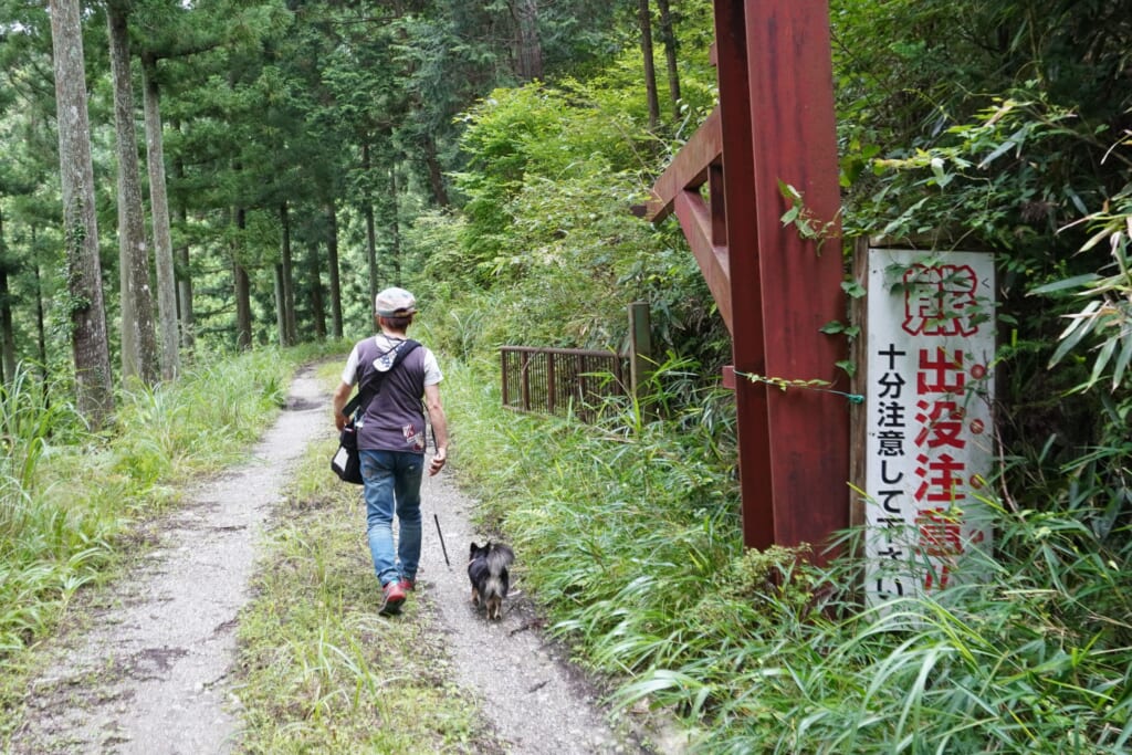 クマ 熊 対策 共存