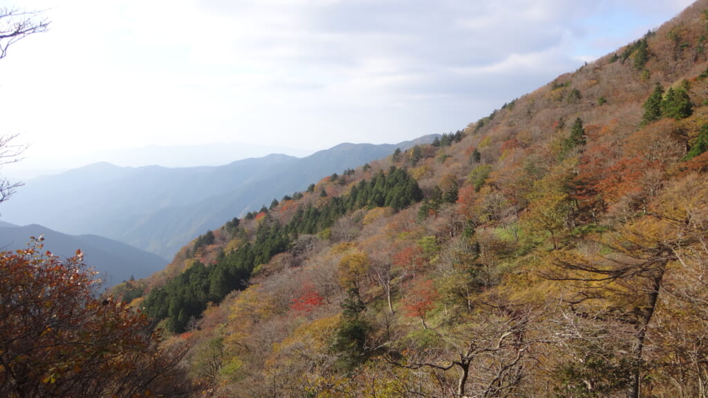 明神平までの道のり