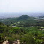 【画像】新緑と初夏の花々を満喫できる穴場！　東六甲「樫ヶ峰」縦走ルートへ【近畿エリア】 〜 画像1