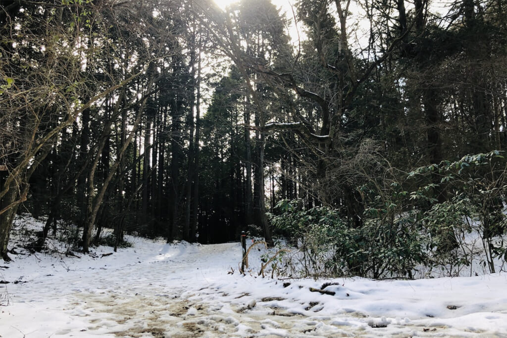 積雪のキャンプ場