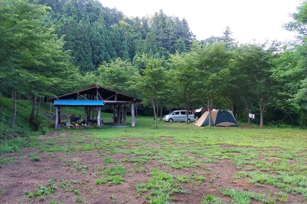 雨の芝生サイト