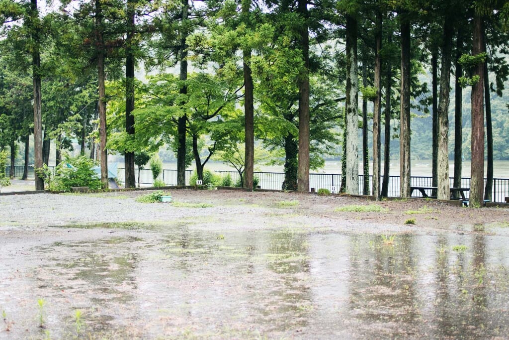 雨に濡れたキャンプ場