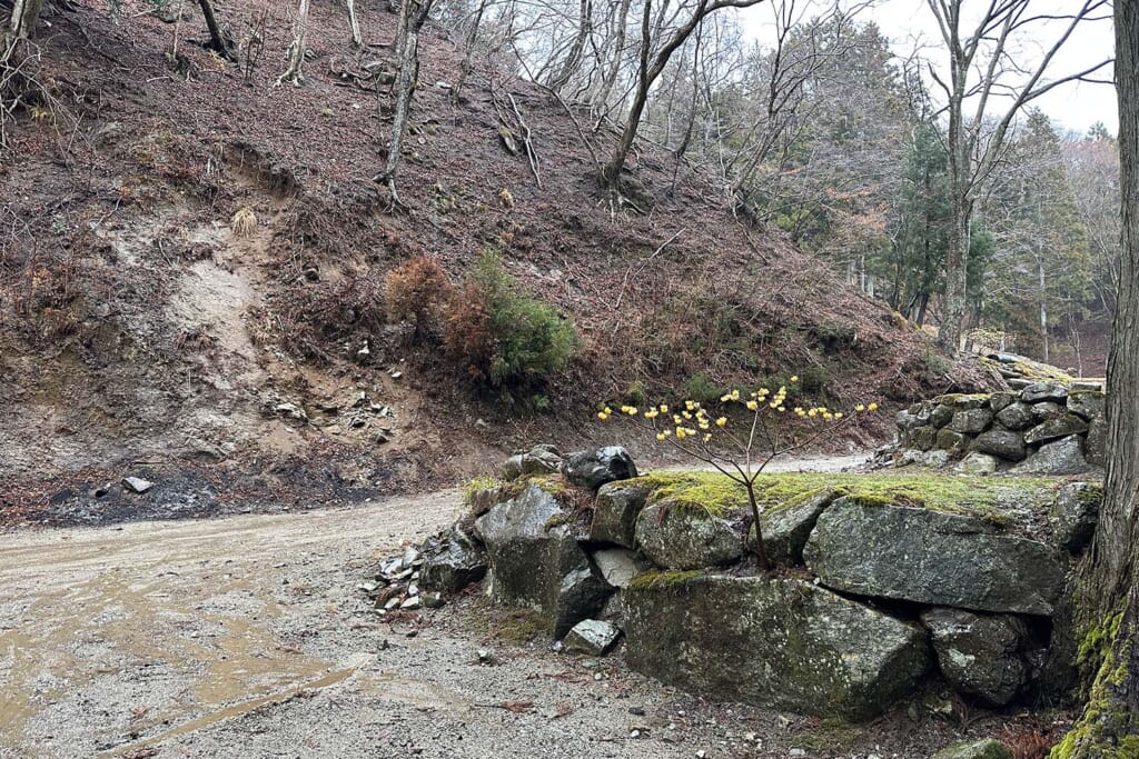 雨に濡れたキャンプ場