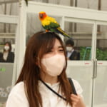 【画像】鷹もインコも乗ってくる⁉︎　鳥との距離感がとにかく近い体験型テーマパーク「掛川花鳥園」 〜 画像1