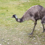 【画像】鷹もインコも乗ってくる⁉︎　鳥との距離感がとにかく近い体験型テーマパーク「掛川花鳥園」 〜 画像1